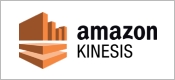 Amazon kinesis logo