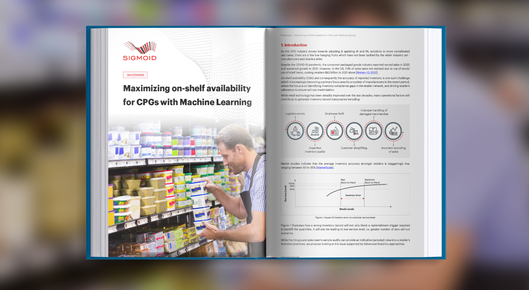 Data Science Services for CPG